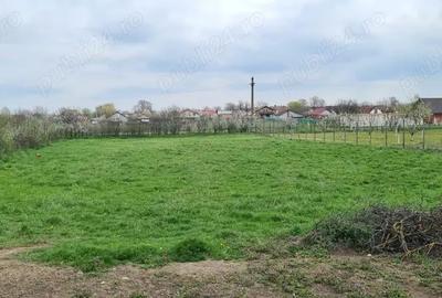 Teren de 2266 mp, în Bazoș - 2