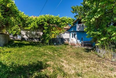 Casa cu gradina de vanzare in Copaceni - 2