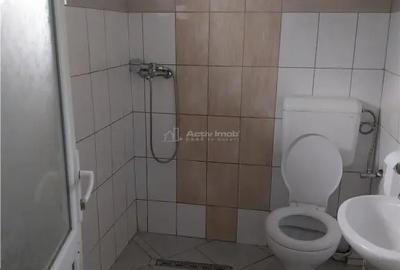 Casă cu 15 camere cu Teren 500 Mp în Cristian - 4