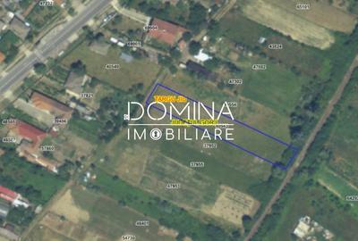 Teren Construcții intravilan de 4991 mp, în Iezureni - 3