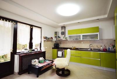 Bucium | locuinta impunatoare | refugiu al linistii si rafinamentului - 7