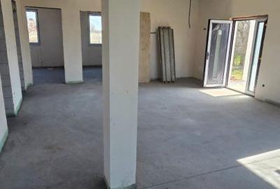 Casă cu 3 camere în Viile Satu Mare - 2