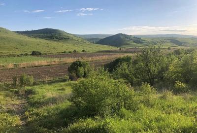 Teren de vanzare intravilan la intrare in Pata 800mp+200mp drum - 3