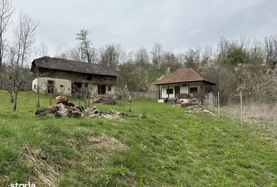 Teren de 2700 mp, în Berislăvești - 2