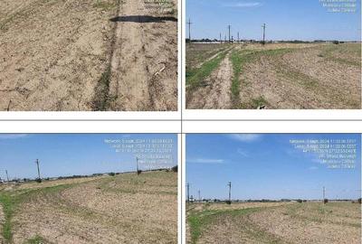 Teren Modelu, jud Calarasi, ID: 18949 - 3