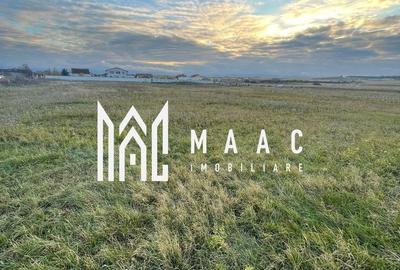 Teren Construcții intravilan de 2100 mp, în Șura Mică - 2