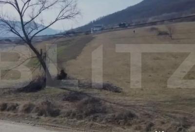 Teren în Viișoara - 4