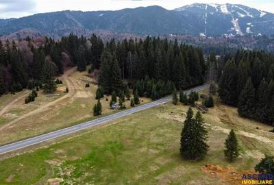 Teren de 1000 mp, în Poiana Brașov - 3