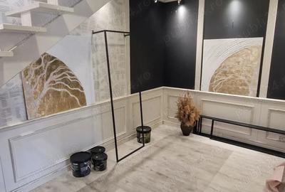 Spatiu Strada Pacurari - 5