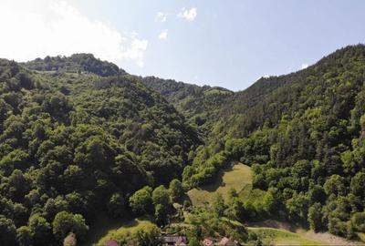 Casă cu 4 camere în Râu Sadului - 6