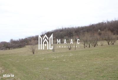 Spațiu comercial, în Central - 16