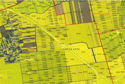 Teren Intravilan Tunari, (Dimieni), int. A0 cu A3 - 1