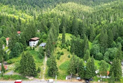 Teren Construcții intravilan de 9000 mp, în Malul Ursului - 2