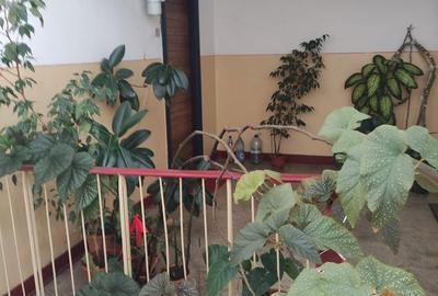 Apartament cu 4 camere decomandat în Gării - 5