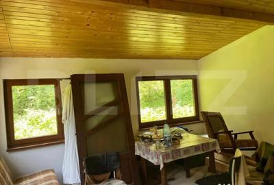 Casă cu 4 camere cu Teren 1635 Mp în Șugag - 9