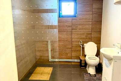 VAND CASA ZNA TOCILE - 3