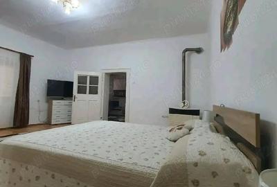 Casă cu 7 camere cu Teren 2500 Mp în Brateiu - 10