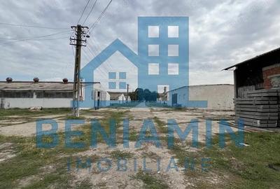 60.000mp Ferma de bovine, pasari, porcine, culturi agricole Diverse - 4