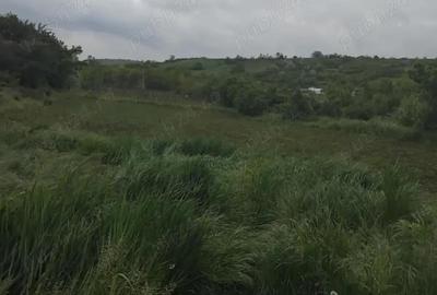 Teren de 3000 mp, în Central - 3