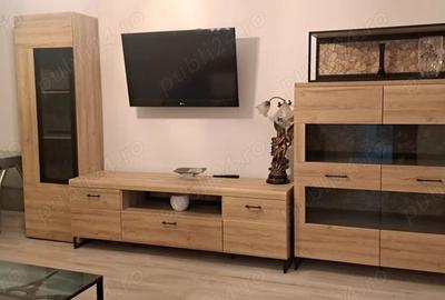 Apartament cu 2 camere decomandat în Preajba - 4