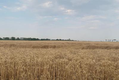 Teren Intravilan  Stefanesti  de Jos DJ200 WDP Autostrada A0 - 4