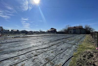 Teren Str. Livezilor - Mogosoaia - Comision 0% - 8