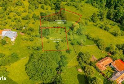 Spațiu comercial, în Bran - 7