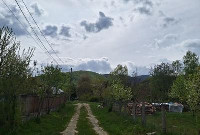 Spațiu comercial, în Viștișoara
