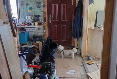 Vand teren casa de vacanta Stejari ,Prejmer - 6