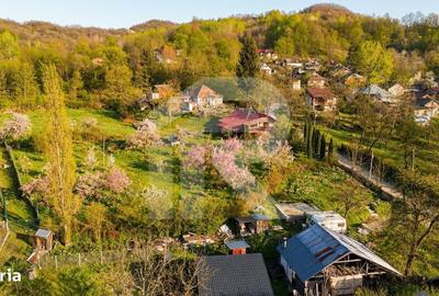 Spațiu comercial, în Coțofenești - 4