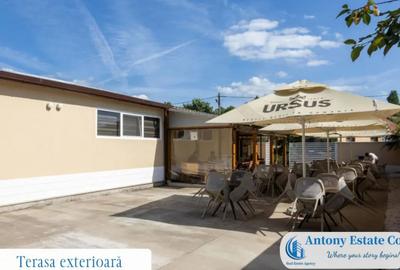 Spațiu comercial, de 195 mp, în Budureasa - 8