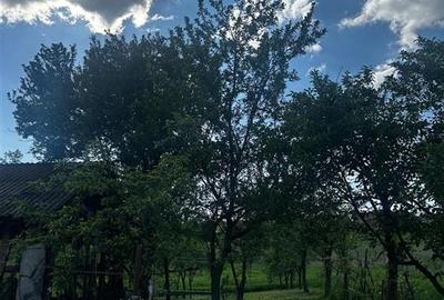 Reco, Casa cu teren, Lugasu de Sus, la 32 km de Oradea - 7