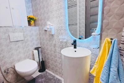 Apartament 2 camere de inchiriat - 11