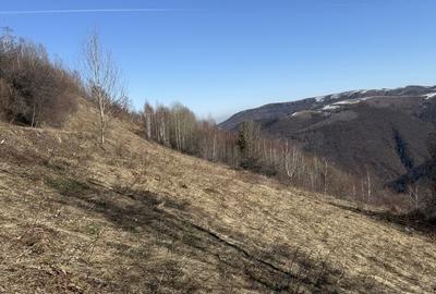 Spațiu comercial, în Mărișel - 3