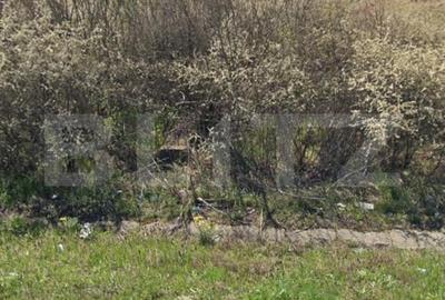 Teren Construcții intravilan de 5117 mp, în Exterior Vest - 1