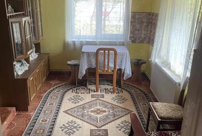 Vand casa cu gradina - 5