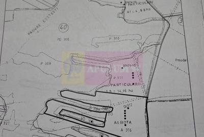 Spațiu comercial, în Albota - 5