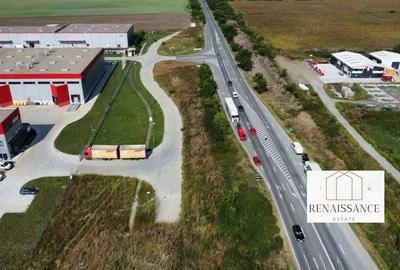 Teren de 55000 mp, în Sânandrei