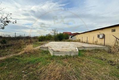 Teren pentru dezvoltare proiect imobiliar Domnesti-Centru - 3