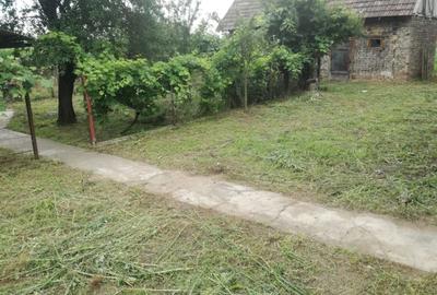 Casă individuală cu 3 camere cu Teren 5000 Mp în Horea - 6