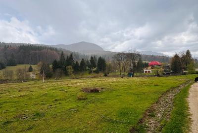 Spațiu comercial, în Dălghiu - 7