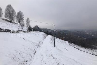 Teren 725 MP | Moieciu de Jos | Piatra Craiului | Oportunitate de investitie | - 3