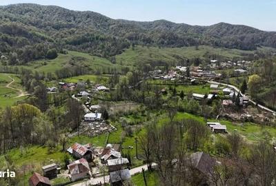 Teren de 3513 mp, în Vișinești - 6