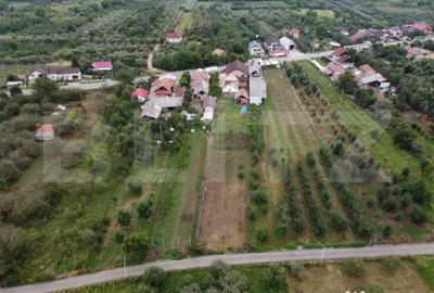 Casă cu 4 camere cu Teren 2360 Mp în Central - 2