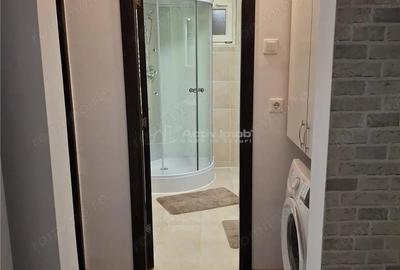 Apartament cu 2 camere decomandat în Luncă - 11