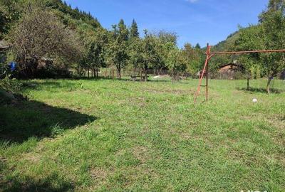 Casă cu 2 camere în Băița - 3