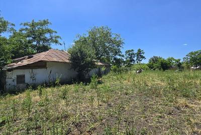 Casă cu 2 camere cu Teren 4260 Mp în Răchiți - 4