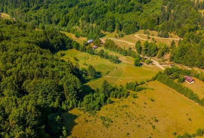 Teren extravilan de 20000 mp, în Dălghiu - 11