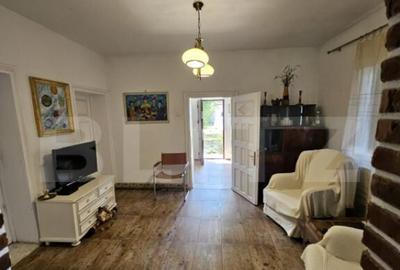 Casa individuala de vanzare in exclusivitate Tomsani - 2