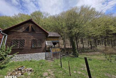 Casă cu 5 camere cu Teren 900 Mp în Ighiu - 12